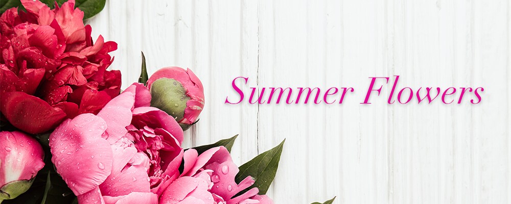 immersion_summer_flowerrs